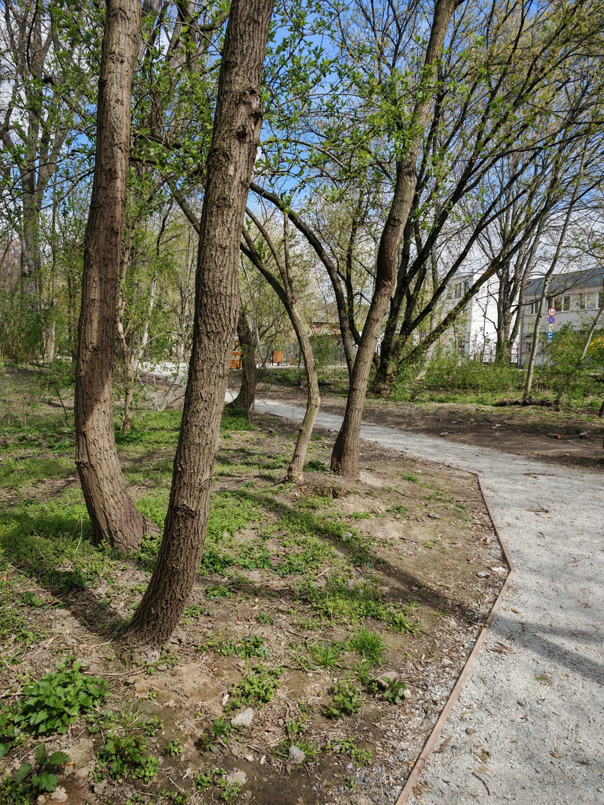 Park Łokietka w Krakowie 1