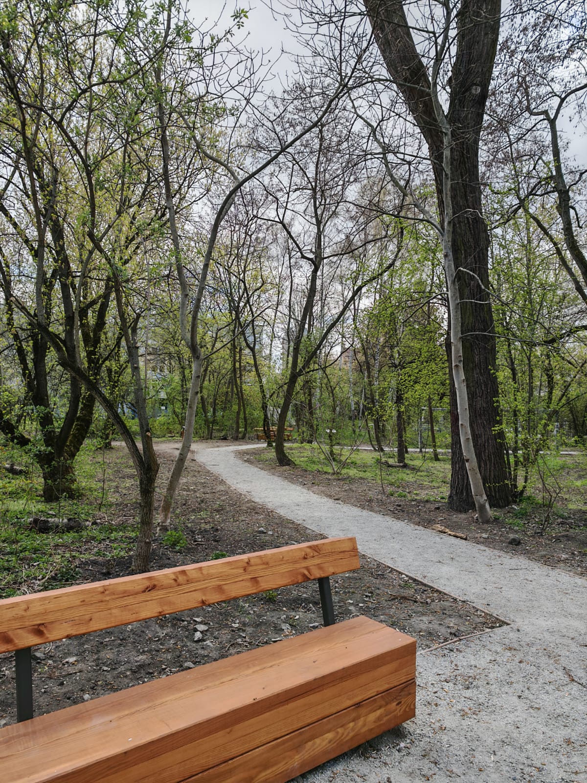 Park Łokietka w Krakowie 5